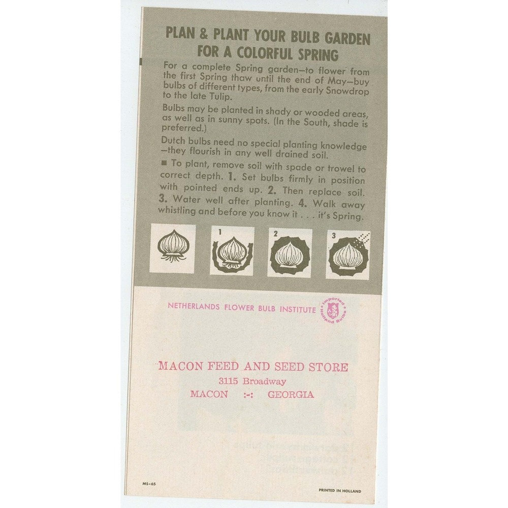 Vintage Macon Georgia Feed & Seed Store Bulb Planting Pamphlet Dutch Tulip Ad - Picture 2 of 2